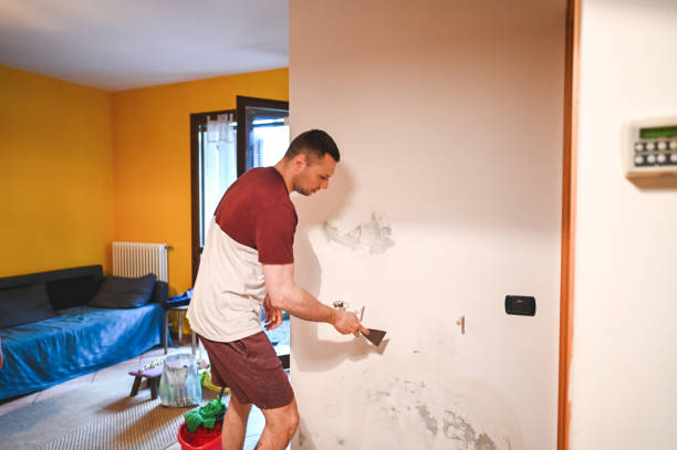 Best Preventive Mold Services in Ranlo, NC